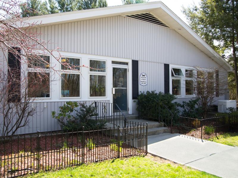 The Delmar Animal Hospital Gets a Facelift